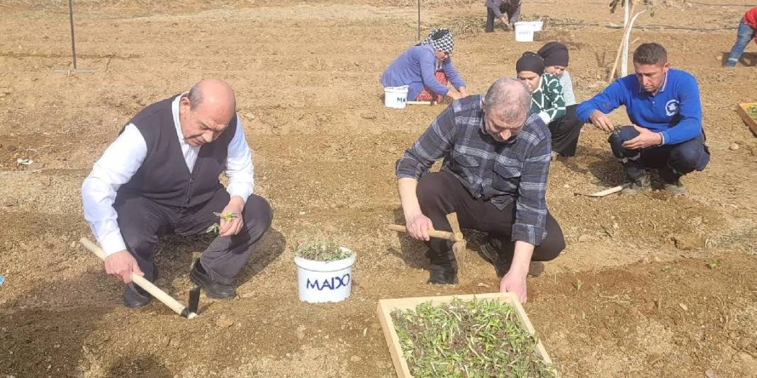 Tarihi desteği açıkladılar: Bunu ekene 10 yıl boyunca alım garantisi! Çiftçinin elinde bir gram bile kalmayacak 1